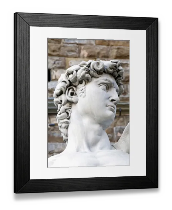 Framed Print : The David of Michelangelo (16th century), Piazza della Signoria, Florence (Firenze)