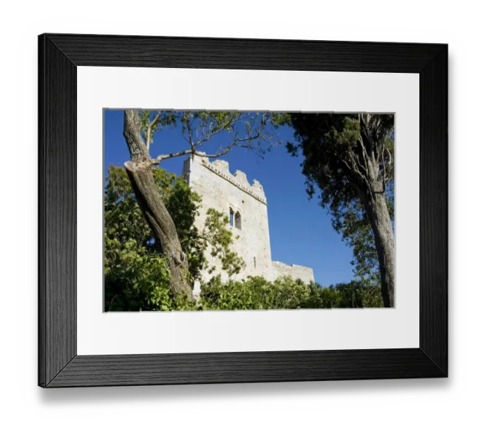 Framed Print : The Castle, Campiglia Marittima, Livorno, Tuscany, Italy Framed Print : The Castle, Campiglia Marittima, Livorno, Tuscany, Italy