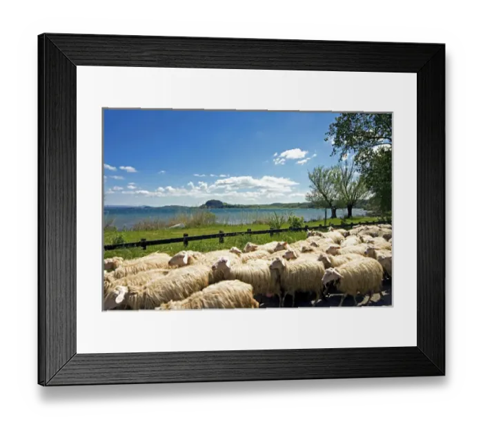 Framed Print : Lake of Bolsena, View from San Magno area, Viterbo, Latium, Italy