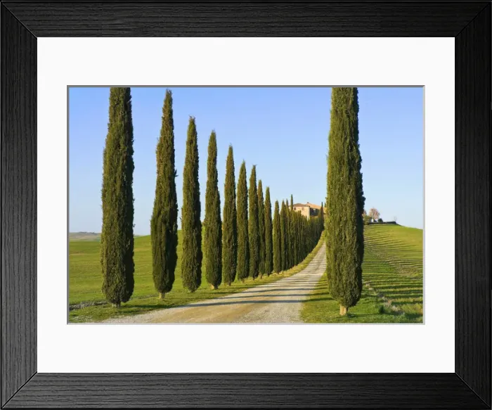 Framed Print : Val d Orcia, Siena Province, Siena, Tuscany, Italy Framed Print : Val d Orcia, Siena Province, Siena, Tuscany, Italy