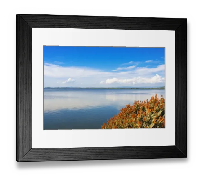 Framed Print : The lagoon of Orbetello, Orbetello, Grosseto province, Tuscany, Italy Framed Print : The lagoon of Orbetello, Orbetello, Grosseto province, Tuscany, Italy