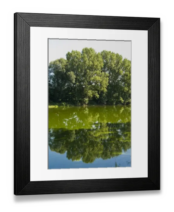 Framed Print : Arno River at Ponte Buriano, Ponte Buriano, Arezzo Province, Tuscany, Italy, Europe Framed Print : Arno River at Ponte Buriano, Ponte Buriano, Arezzo Province, Tuscany, Italy, Europe