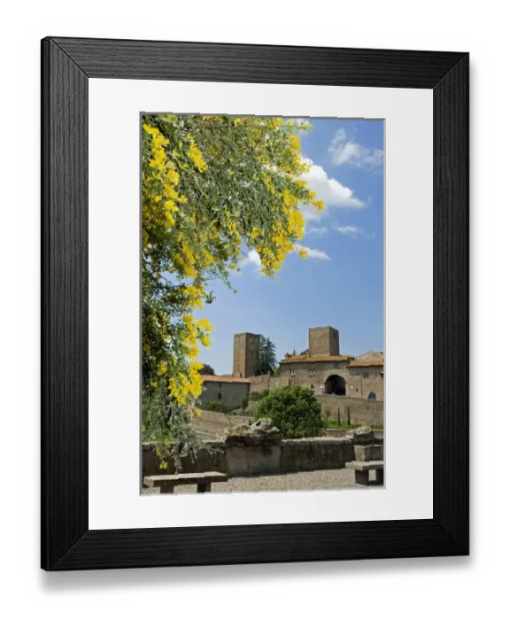 Framed Print : View of Tuscania from Bastianini Square and Etruscan sarcophagus, Viterbo province
