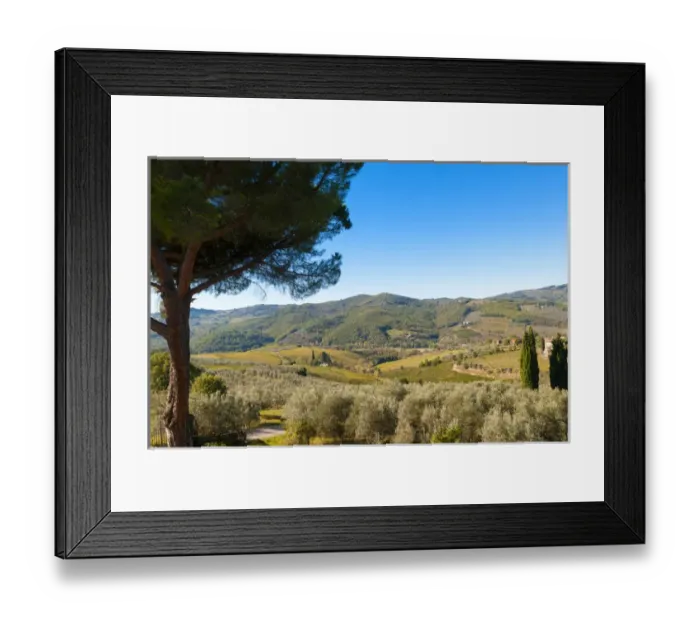 Framed Print : Vineyards and olive groves, Greve in Chianti, Chianti area, Florence province, Tuscany Framed Print : Vineyards and olive groves, Greve in Chianti, Chianti area, Florence province, Tuscany