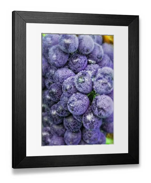 Framed Print : Late summer wine scenes from Tuscany Framed Print : Late summer wine scenes from Tuscany