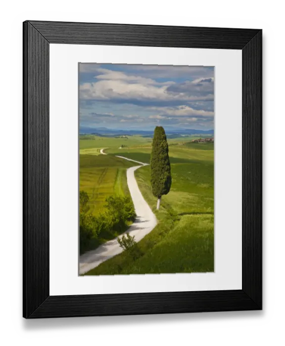 Framed Print : Europe; Italy; Tuscany; Icon Lone Tree and Winding Road Framed Print : Europe; Italy; Tuscany; Icon Lone Tree and Winding Road