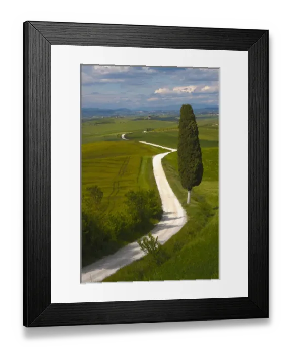 Framed Print : Europe; Italy; Tuscany; Icon Lone Tree and Winding Road