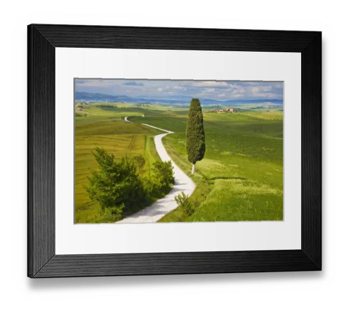 Framed Print : Europe; Italy; Tuscany; Icon Lone Tree and Winding Road Framed Print : Europe; Italy; Tuscany; Icon Lone Tree and Winding Road