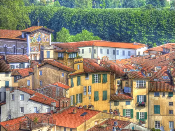 Europe; Italy; Lucca; Roof Tops of Lucca