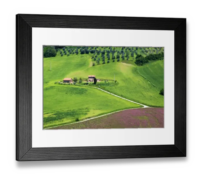 Framed Print : Europe; Italy; Tuscany; Rolling Hills of Spring Wheat Fields Framed Print : Europe; Italy; Tuscany; Rolling Hills of Spring Wheat Fields