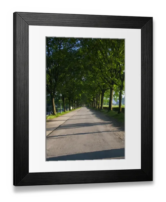 Framed Print : Europe; Italy; Lucca; Walkway Along the Wall Surounding Lucca Framed Print : Europe; Italy; Lucca; Walkway Along the Wall Surounding Lucca
