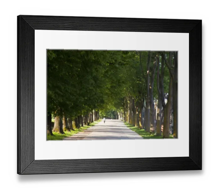 Framed Print : Europe; Italy; Lucca; Walkway Along the Wall Surounding Lucca
