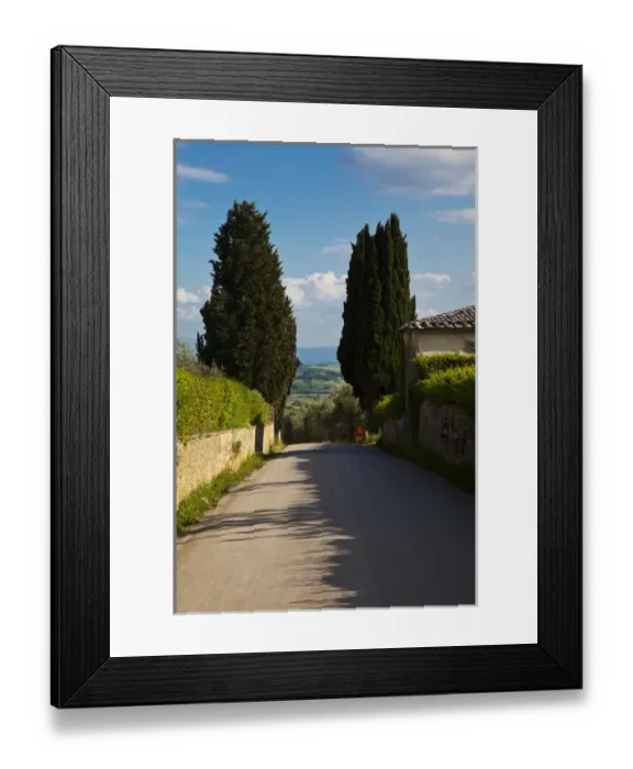 Framed Print : Europe; Italy; Tuscany; Tuscan Backroad through Cypress Trees