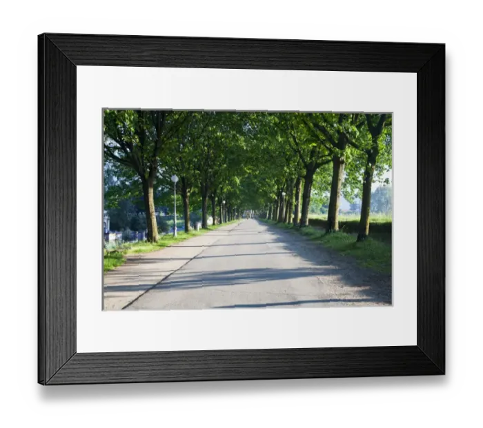 Framed Print : Europe; Italy; Lucca; Walkway Along the Wall Surounding Lucca Framed Print : Europe; Italy; Lucca; Walkway Along the Wall Surounding Lucca