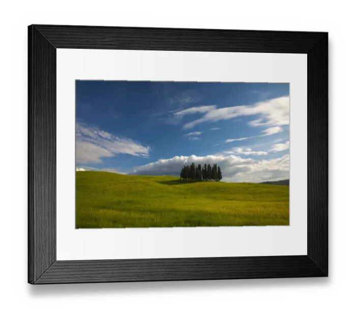 Framed Print : Europe; Italy; Tuscany; Tuscan Hill Side Cypress Tree Grouping Framed Print : Europe; Italy; Tuscany; Tuscan Hill Side Cypress Tree Grouping