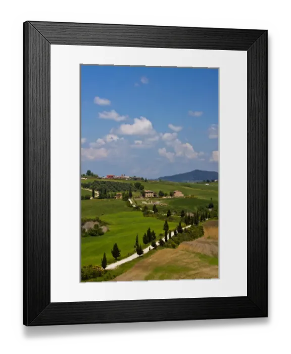 Framed Print : Europe; Italy; Tuscany; Rolling Hills of Spring Wheat Fields Framed Print : Europe; Italy; Tuscany; Rolling Hills of Spring Wheat Fields