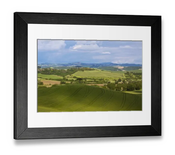 Framed Print : Europe; Italy; Tuscany; Rolling Hills of Spring Wheat Fields