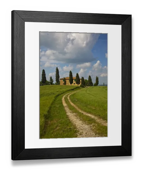 Framed Print : Europe; Italy; Tuscany; Pienza; Road Leading to Villa with Wheat Fields