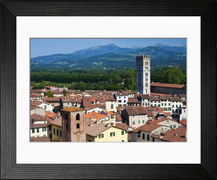Framed Print : Europe; Italy; Lucca; The Tower San Frediano Stands above the roof tops