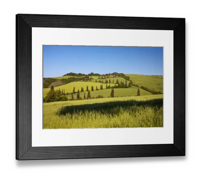 Framed Print : Europe; Italy; Tuscany; Famous Zig-Zag Road through the Hillside of Tuscany Framed Print : Europe; Italy; Tuscany; Famous Zig-Zag Road through the Hillside of Tuscany