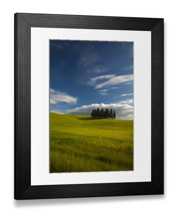 Framed Print : Europe; Italy; Tuscany; Tuscan Hill Side Cypress Tree Grouping Framed Print : Europe; Italy; Tuscany; Tuscan Hill Side Cypress Tree Grouping