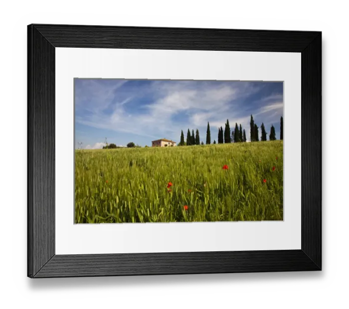 Framed Print : Europe; Italy; Tuscany; Pienza; Villa with Wheat Fields, Cypress Trees and Poppies