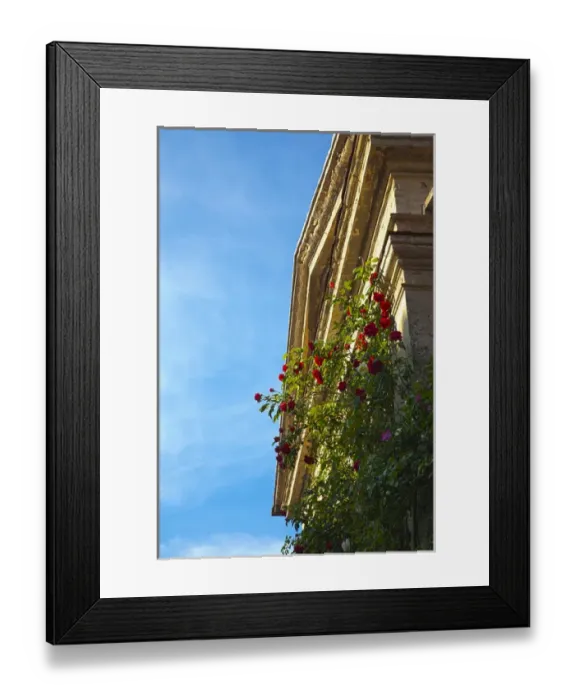 Framed Print : Europe; Italy; Tuscany; Roses on the side of a Small Back Country Church
