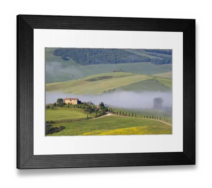 Framed Print : Europe; Italy; Tuscany; Pienza; Villa with Wheat and Canola Fields in Fog Framed Print : Europe; Italy; Tuscany; Pienza; Villa with Wheat and Canola Fields in Fog