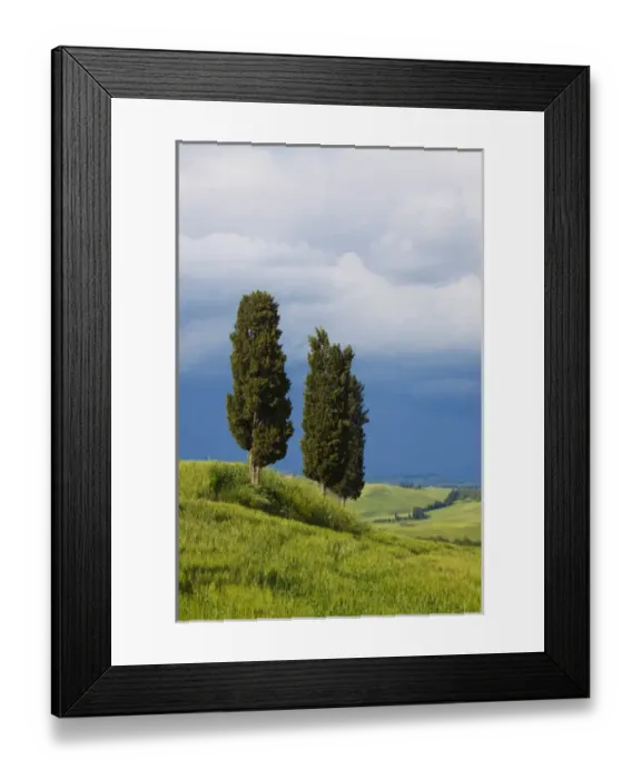 Framed Print : Europe; Italy; Tuscany; Rolling Hills of Spring Wheat Fields and Cypress Trees Framed Print : Europe; Italy; Tuscany; Rolling Hills of Spring Wheat Fields and Cypress Trees