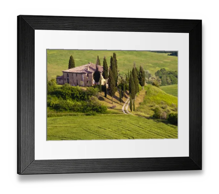 Framed Print : Europe; Italy; Tuscany; Spring Wheat Around The Bellvedere House Southern Tuscany