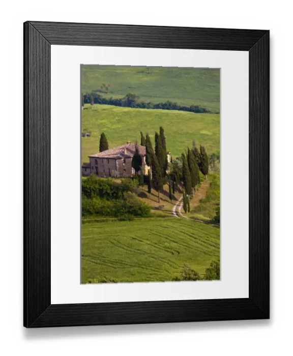 Framed Print : Europe; Italy; Tuscany; Spring Wheat Around The Bellvedere House Southern Tuscany Framed Print : Europe; Italy; Tuscany; Spring Wheat Around The Bellvedere House Southern Tuscany