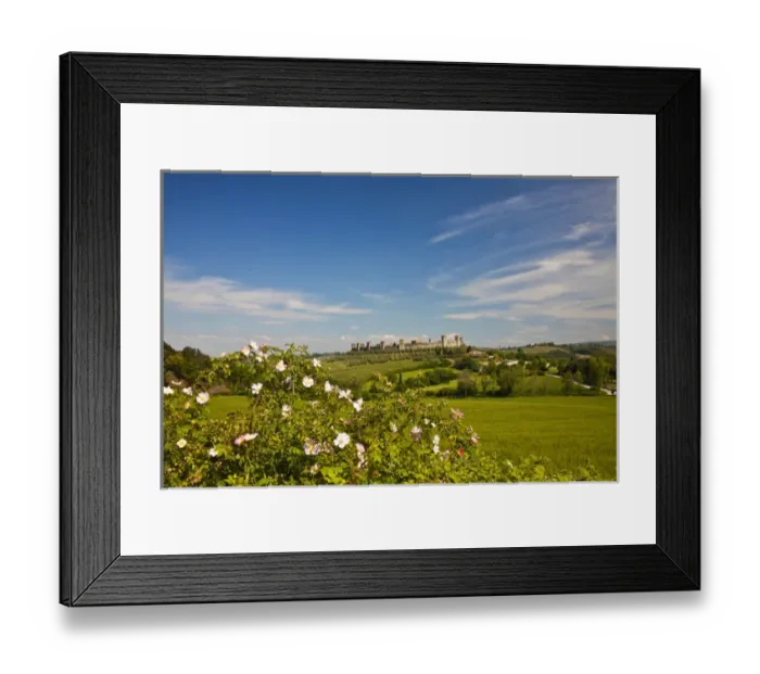 Framed Print : Europe; Italy; Tuscany; Monteriggioni; View Through Roses from Wheat Field of Framed Print : Europe; Italy; Tuscany; Monteriggioni; View Through Roses from Wheat Field of