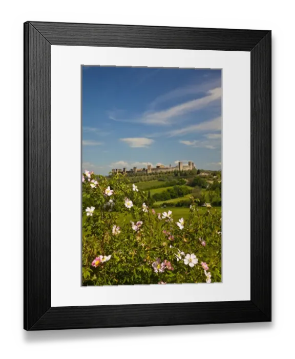 Framed Print : Europe; Italy; Tuscany; Monteriggioni; View Through Roses from Wheat Field of Framed Print : Europe; Italy; Tuscany; Monteriggioni; View Through Roses from Wheat Field of