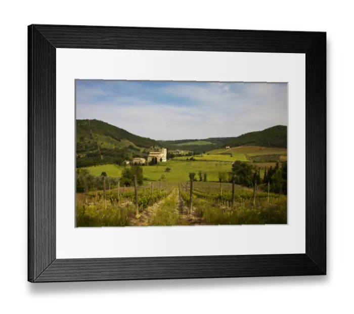 Framed Print : Europe; Italy; Tuscany; Vineyards leading to Sant Antimo Abbey With Fresh Green Framed Print : Europe; Italy; Tuscany; Vineyards leading to Sant Antimo Abbey With Fresh Green