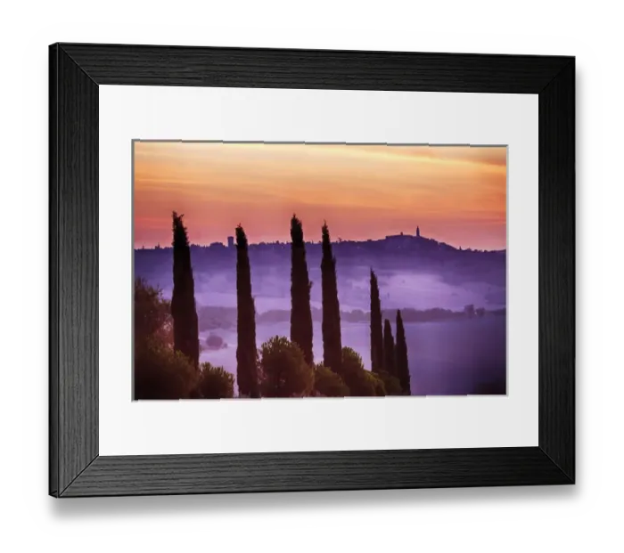 Framed Print : Europe; Italy: Tuscany; Cypress trees with Morning Fog Framed Print : Europe; Italy: Tuscany; Cypress trees with Morning Fog