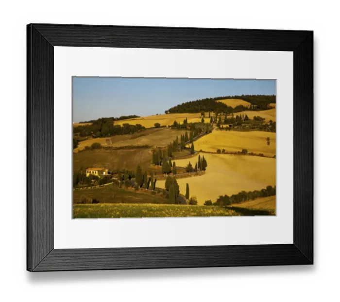 Framed Print : Europe; Italy; Tuscany; Zig Zag Road Through The Harvest Fields of Tuscany