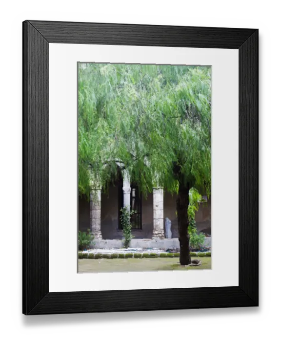 Framed Print : Europe; Italy; Sorrento, Amalfi Coast; Pillars and Trees in The Town of Sorrento