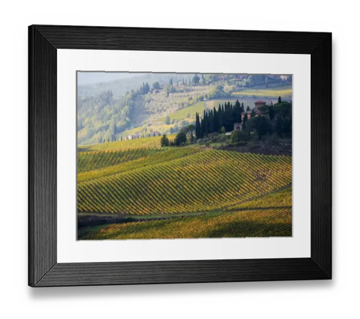 Framed Print : Europe; Italy; Tuscany; Chianti; Autumn Vinyards Rows with Bright Color