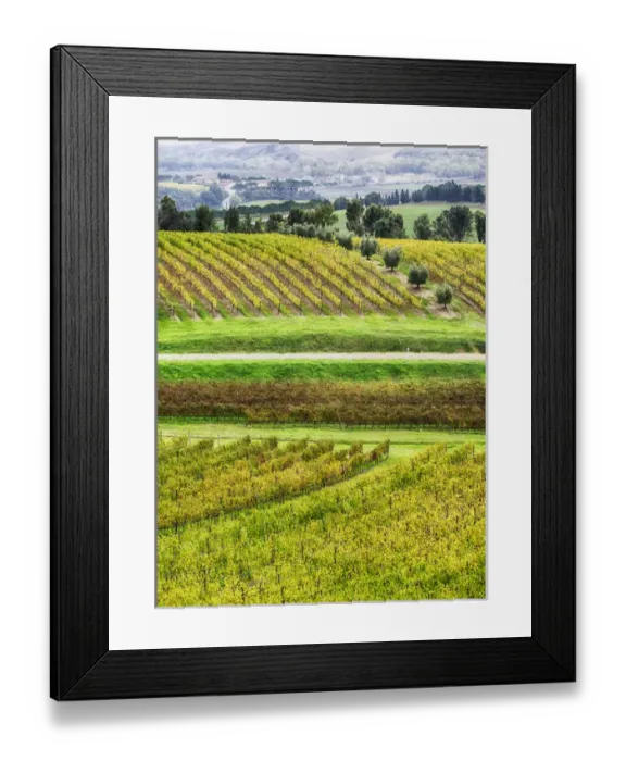 Framed Print : Europe; Italy; Tuscsany; Autumn Vineyards in Southern Tuscany