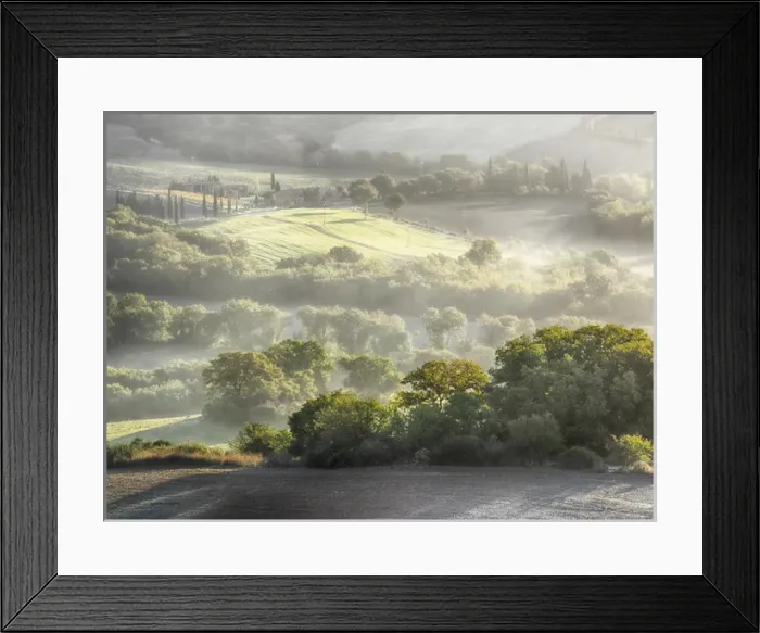 Framed Print : Europe; Italy; Tuscany; Morning light over the fields of Winter Wheat above the Tuscan Framed Print : Europe; Italy; Tuscany; Morning light over the fields of Winter Wheat above the Tuscan