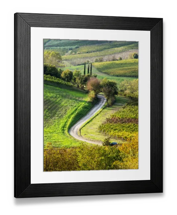 Framed Print : Europe; Italy; Tuscany; Chianti; Autumn; Road running through vineyards Framed Print : Europe; Italy; Tuscany; Chianti; Autumn; Road running through vineyards
