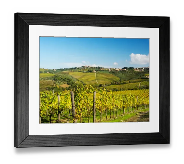 Framed Print : Europe; Italy; Tuscany; Chianti; Panzano; Autumn Vinyards with Bright Color Near Panzano Framed Print : Europe; Italy; Tuscany; Chianti; Panzano; Autumn Vinyards with Bright Color Near Panzano