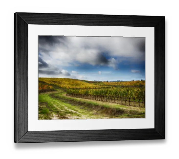 Framed Print : Europe; Italy Montepulciano; Autumn Vinyards in full color near Montepulciano Framed Print : Europe; Italy Montepulciano; Autumn Vinyards in full color near Montepulciano