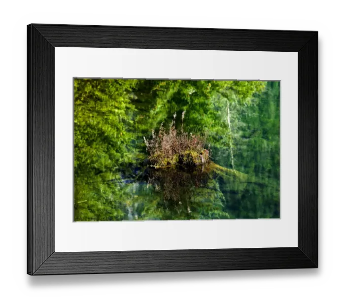 Framed Print : Floating Rock on Green Tree Reflection Garden Abstract Gold Lake Snoqualme Pass Washington