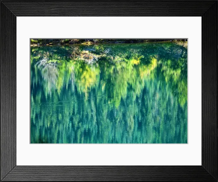 Framed Print : Green Yellow Trees Fall Reflection Abstract Gold Lake Snoqualme Pass Washington Framed Print : Green Yellow Trees Fall Reflection Abstract Gold Lake Snoqualme Pass Washington
