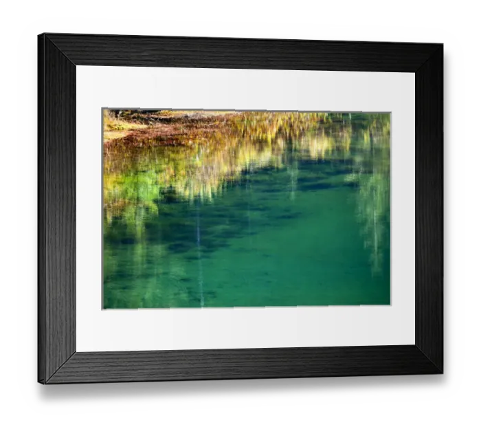 Framed Print : Green Yellow Moss Underwater Reflection Abstract Gold Lake Snoqualme Pass Washington Framed Print : Green Yellow Moss Underwater Reflection Abstract Gold Lake Snoqualme Pass Washington