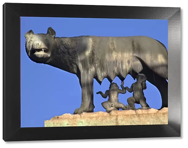 Capitoline Wolf Romulus Remus Statue Forum Rome Italy Resubmit--In response to