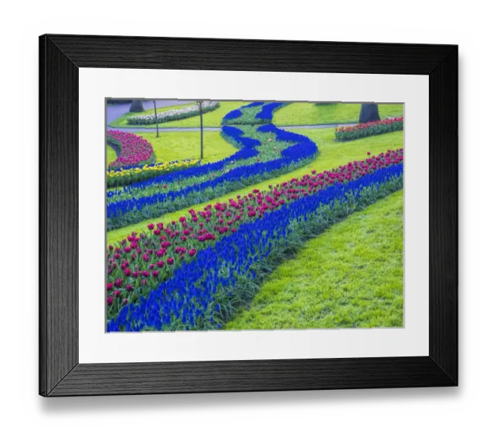 Framed Print : Europe; Netherlands; Lisse; Keukenhof Gardens; Keukenhof Gardens with Tulip Blooms Surounded Framed Print : Europe; Netherlands; Lisse; Keukenhof Gardens; Keukenhof Gardens with Tulip Blooms Surounded
