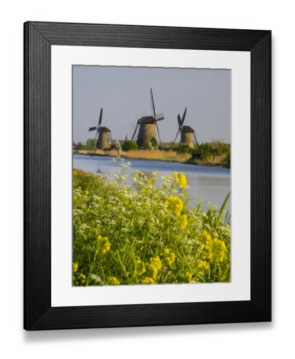 Framed Print : Europe; Netherleands; Kinderdyk; Windmills with evening light along the canals of Kinderdijk Framed Print : Europe; Netherleands; Kinderdyk; Windmills with evening light along the canals of Kinderdijk