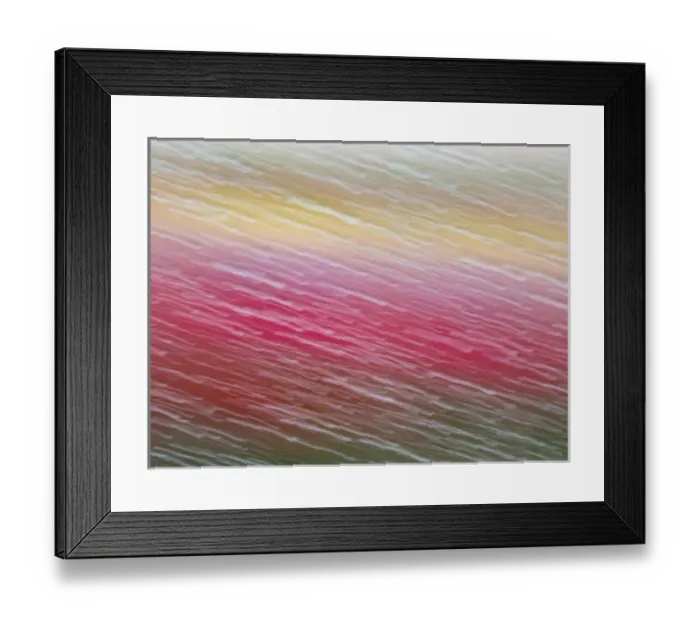 Framed Print : Europe; Netherlands; Nord Holland; Tulips and Rain Drops in Patterns Framed Print : Europe; Netherlands; Nord Holland; Tulips and Rain Drops in Patterns